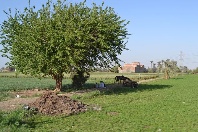 Half-Day Trip to Egyptian Green Farm from Cairo with Breakfast - The Sum Up