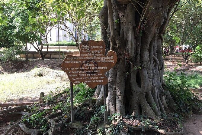 Half Day Trip to Killing Field and Genocidal Museum - Who Would Benefit Most from This Tour?