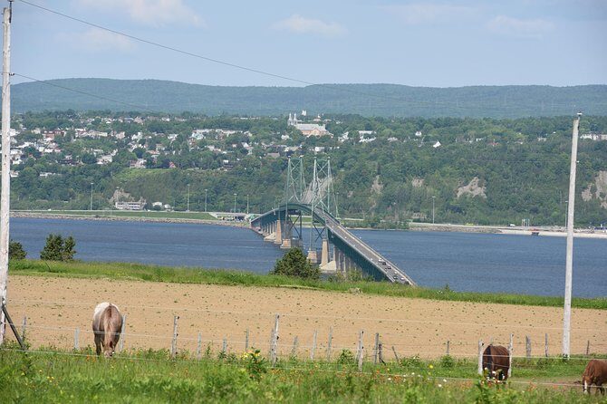 Half-Day Trip to Montmorency Falls and Ste-Anne-de-Beaupré from Quebec city - The Sum Up: Is It Worth It?