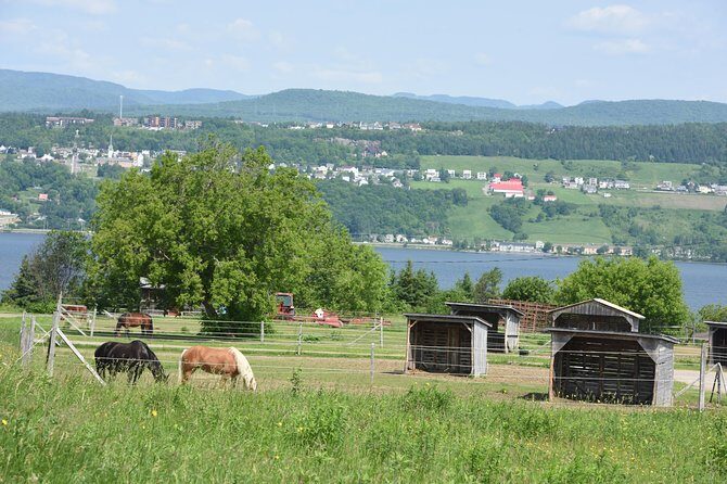 Half-Day Trip to Montmorency Falls and Ste-Anne-de-Beaupré from Quebec city - FAQ