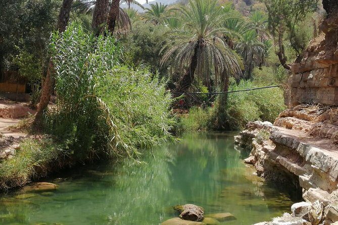 Half Day trip To Paradise Valley From Agadir - The Itinerary in Detail: What to Expect