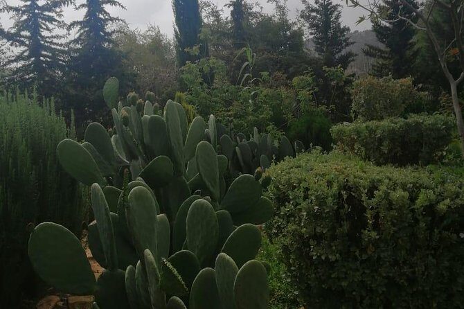 Half Day trip To Paradise Valley From Agadir - The Sum Up: Who Will Love This Tour?