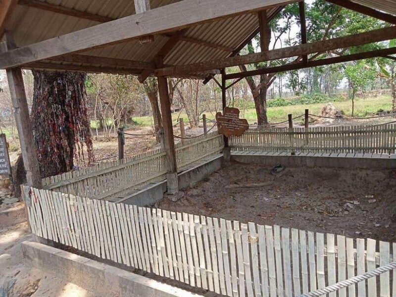 Half Day Trip to S21 Prison Genocidal Museum & Killing Field - Exploring Cambodia’s Dark Past: A Half-Day Tour of S21 Prison and the Killing Fields