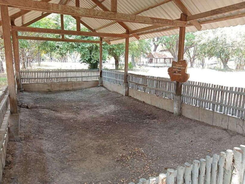 Half Day Trip to S21 Prison Genocidal Museum & Killing Field - The Sum Up