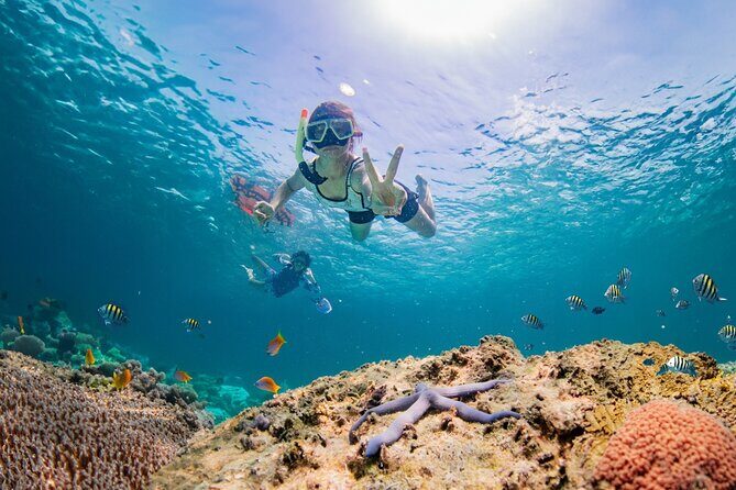 Half day Tropical Coral Island Snorkeling Tour from Phuket - Key Points