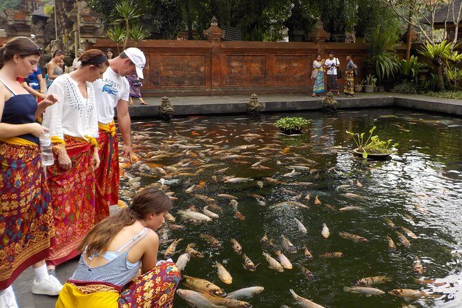 Half-Day Ubud Electric Cycling Tour to Tirta Empul Water Temple - A Closer Look at the Tour Experience