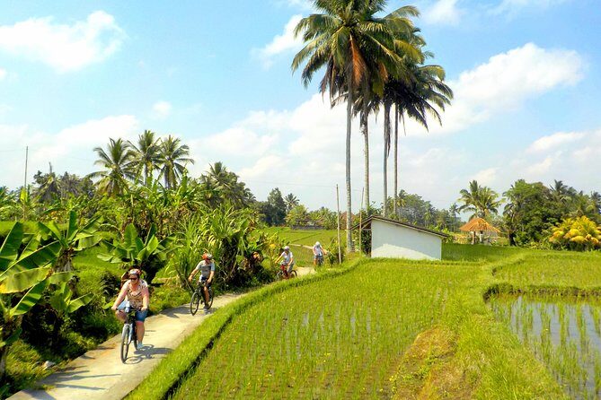 Half-Day Ubud Electric Cycling Tour to Tirta Empul Water Temple - FAQ