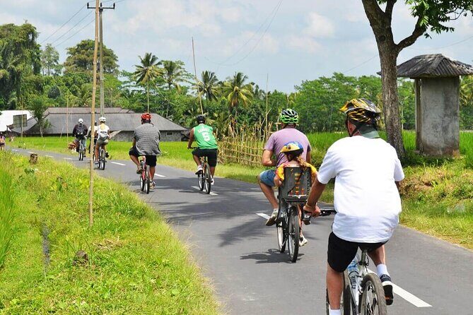 Half-Day Ubud Rice Field and Village Cycling Tour - An Authentic Balinese Experience on Two Wheels