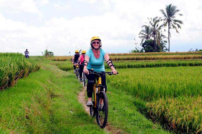 Half-Day Ubud Rice Field and Village Cycling Tour - Authenticity and Real Experiences from Travelers