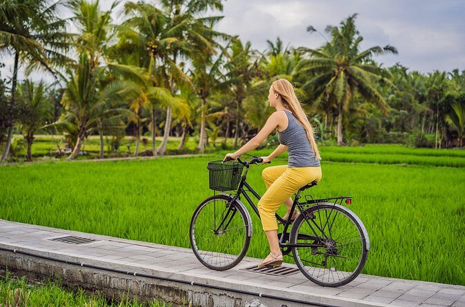 Half-Day Ubud Rice Field and Village Cycling Tour - The Sum Up