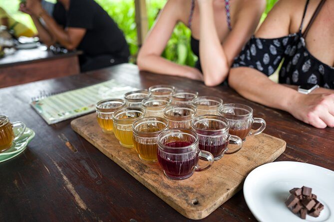 Half-Day Ubud Rice Field and Village Cycling Tour - FAQs