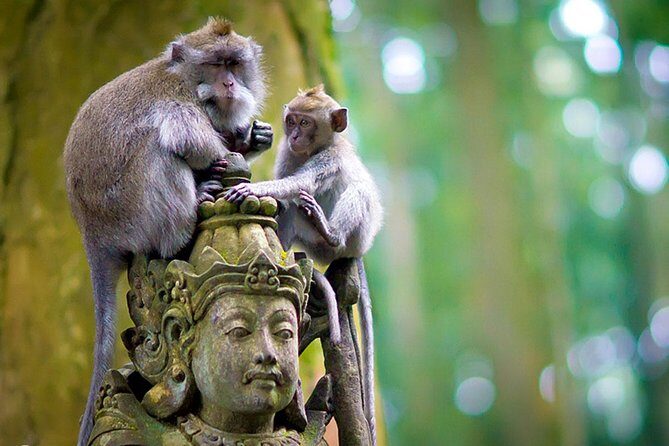 Half Day Ubud Tour: Ubud Unique Spots - Frequently Asked Questions