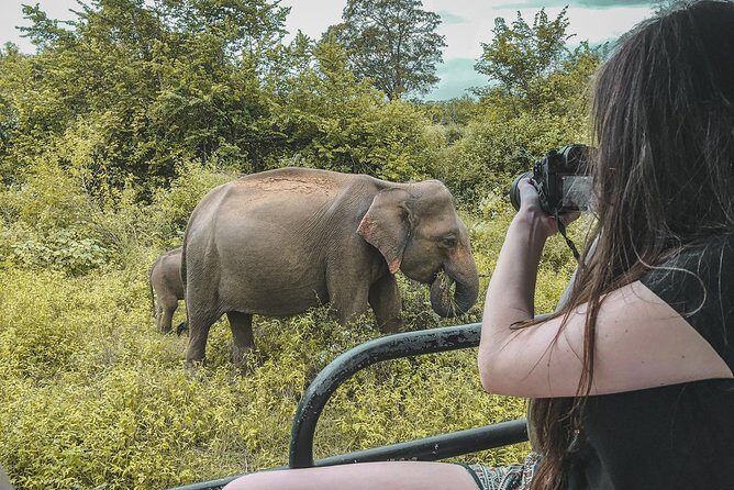 Half Day Udawalawe Safari (Entrance + Lunch) - Key Points