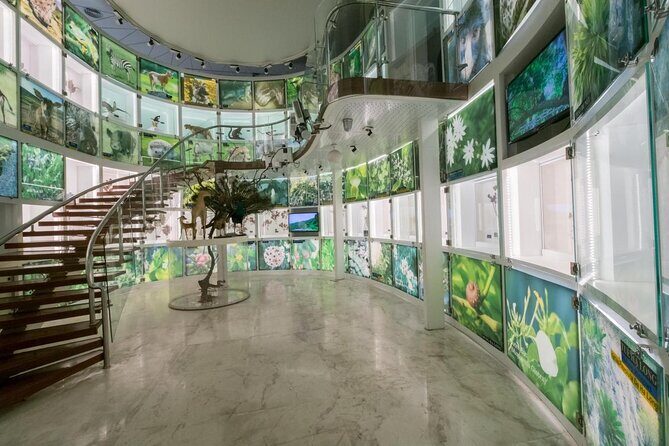 Half-day Vibrant Ha Long Heritage Tour - Review of the Half-day Vibrant Ha Long Heritage Tour