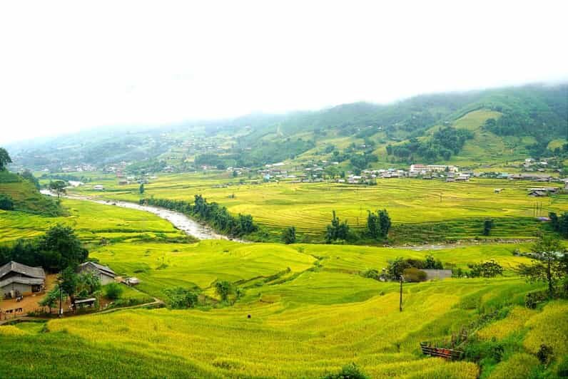 Half Day Visit Y Linh Ho,Lao Chai,Ta Van Trekking With Lunch - Key Points