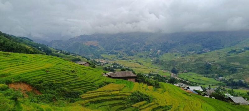 Half Day Visit Y Linh Ho,Lao Chai,Ta Van Trekking With Lunch - The Itinerary and What to Expect