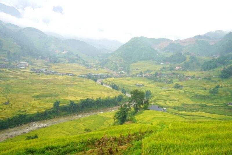 Half Day Visit Y Linh Ho,Lao Chai,Ta Van Trekking With Lunch - What Past Travelers Say