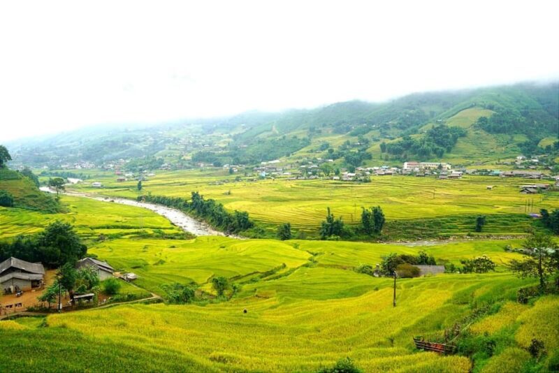 Half Day Visit Y Linh Ho,Lao Chai,Ta Van Trekking With Lunch - The Sum Up