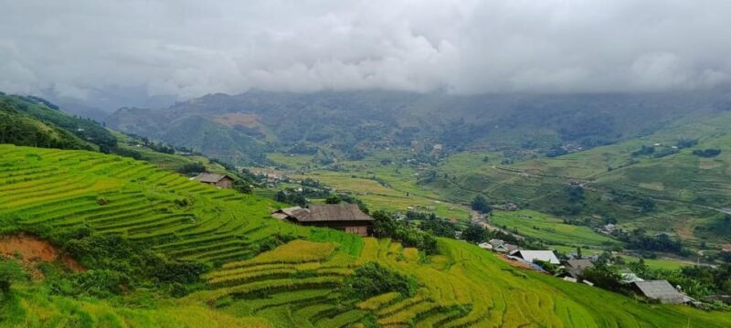Half Day Visit Y Linh Ho,Lao Chai,Ta Van Trekking With Lunch - FAQ