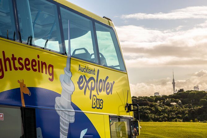 Half-Day Volcano Tour from Auckland - Who Should Consider This Tour?
