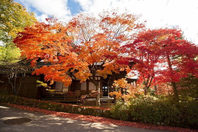 Half Day Walking Tour Takayamas Hidden Gems and Temple Walk - Key Points