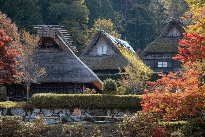 Half Day Walking Tour Takayamas Hidden Gems and Temple Walk - Who Will Love This Tour?
