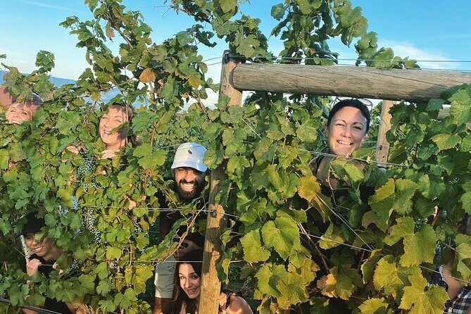 Half-Day West Kelowna Afternoon Wine tour - The Experience in Detail
