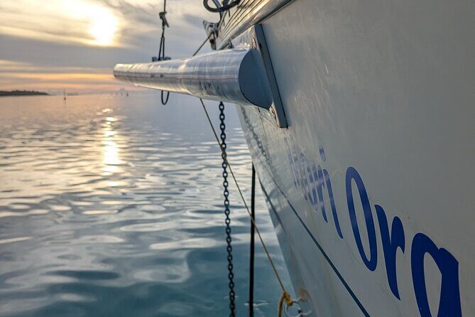 Half day whale watching - Without launch - FAQ