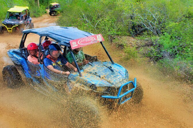 Half-day Wild Desert Polaris Razor UTV Tour - Key Points