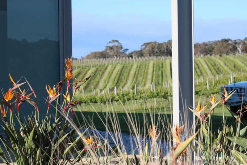 Half day Wine and Sights Discovery Tour Busselton - Introduction