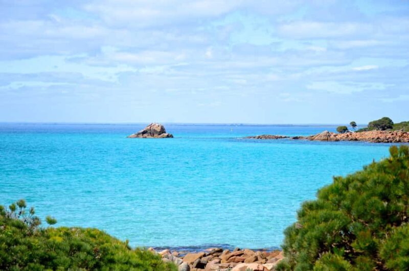 Half day Wine and Sights Discovery Tour Busselton - Sampling Gourmet Local Treats