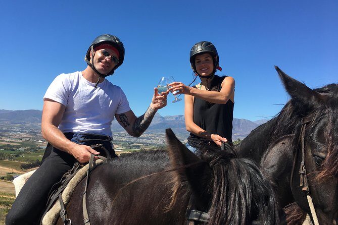 Half Day Wine Tasting Horse Trail - The Practical Side: What You Need to Know