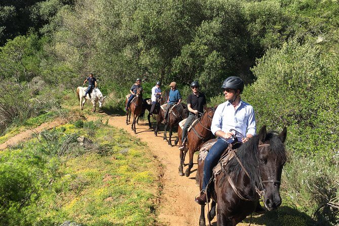 Half Day  Wine Tasting Horse Trail - Who Should Consider This Tour?