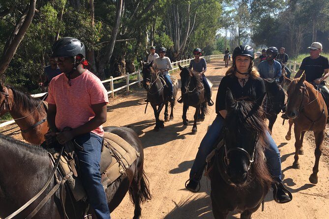 Half Day  Wine Tasting Horse Trail - The Sum Up