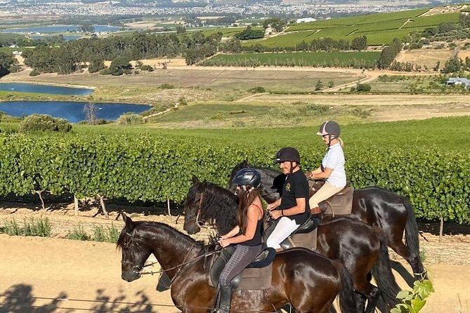 Half Day  Wine Tasting Horse Trail - FAQ