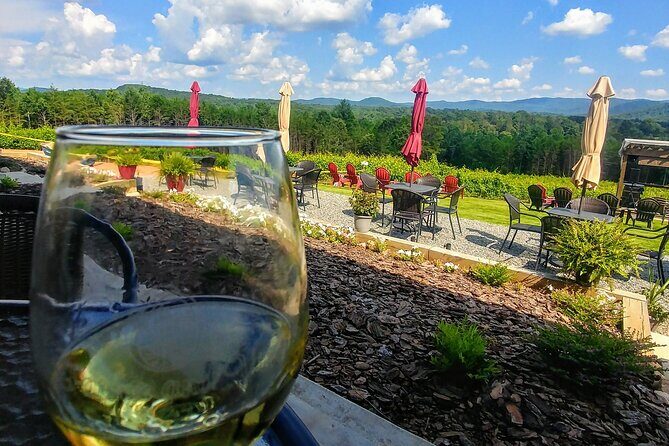 Half-Day Wine Tastings in the North Georgia Mountains - Who Should Book This Tour?
