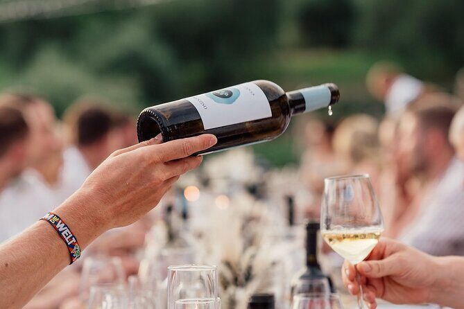 Half Day Wine Tour from Cape Town - What the Tour Offers