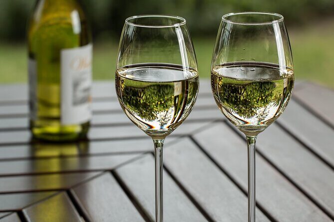 Half Day Wine Tour from Cape Town - What the Reviews Say