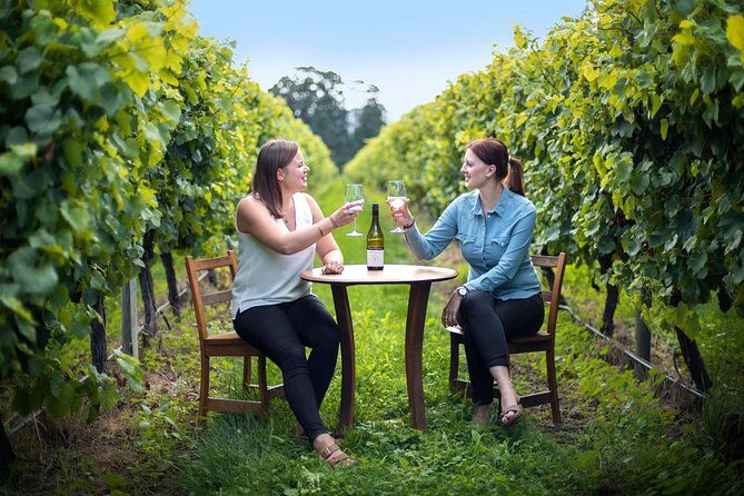 Half-Day Wine Tour from Picton - Introduction: A Sparkling Taste of Marlborough’s Wineries