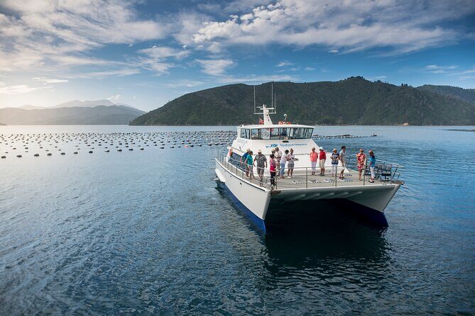Half-Day Wine Tour from Picton - Who Should Consider This Tour?