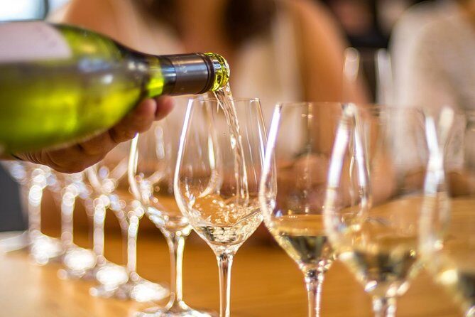 Half-Day Wine Tour from Picton - The Sum Up: Why This Tour Stands Out