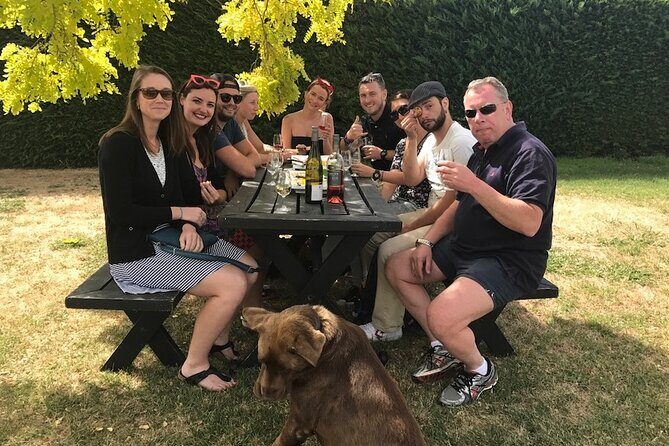 Half Day Wine Tour in Napier - A Deeper Look at the Half Day Wine Tour in Napier