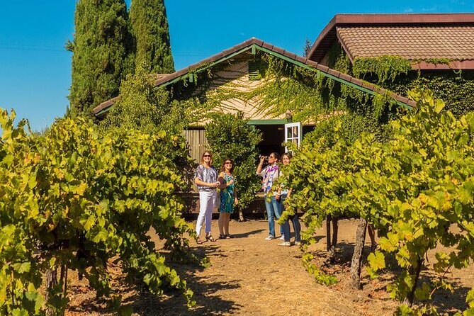 Half-Day Wine Tour Plus Hop-On Hop-Off Bus Pass - Who Is This Tour Best For?