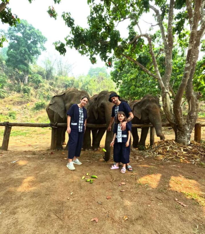 Half-day with CHIANGMAI ELEPHANT CARE program (12pm-6pm.) - Key Points