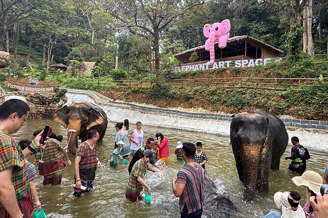 Half day with Elephants at Patong Elephant Hug No ride No trick - What Makes This Tour Stand Out?