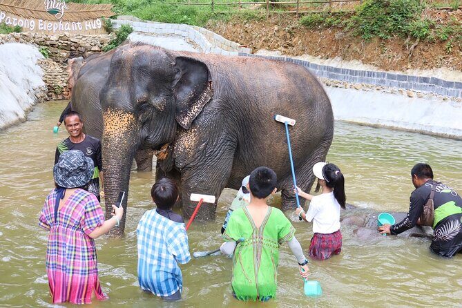 Half day with Elephants at Patong Elephant Hug No ride No trick - Frequently Asked Questions