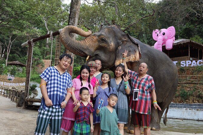 Half day with Elephants at Patong Elephant Hug No ride No trick - Final Verdict