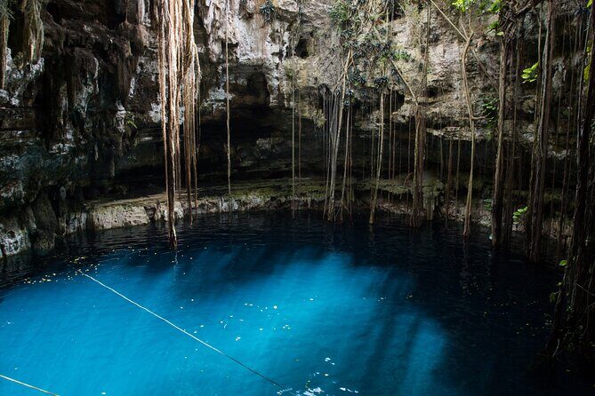 Half-Day Yucatan's Instagram Cenotes PRIVATE TOUR - Key Points