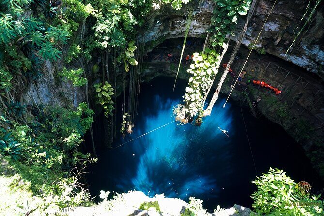 Half-Day Yucatan's Instagram Cenotes PRIVATE TOUR - What’s Included and How It Works
