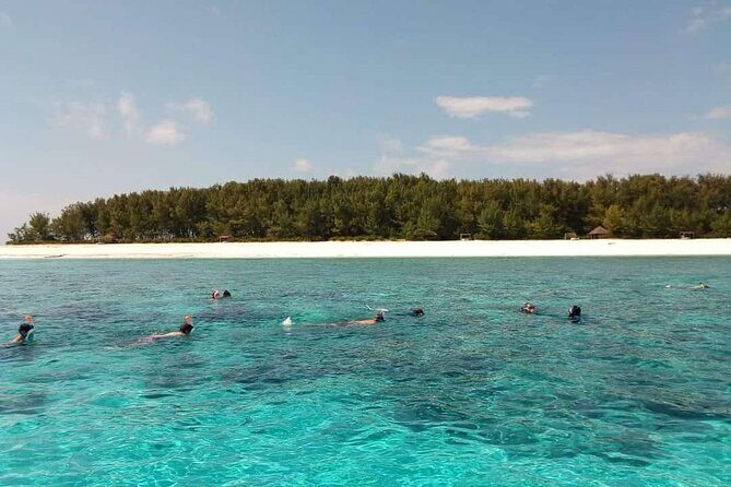Half Day Zanzibar Mnemba Atoll Marine Reserve Snorkeling Tour - Key Points